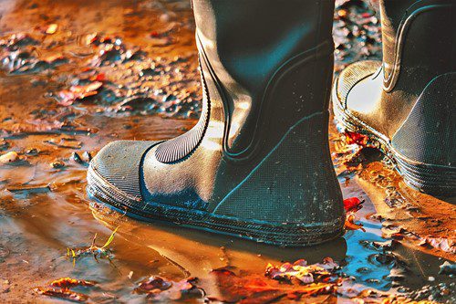 A muddy boot stepping into a puddle with fallen leaves.