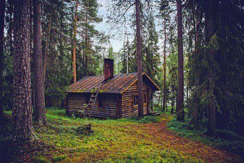 Cozy wooden cabin nestled in a dense forest.