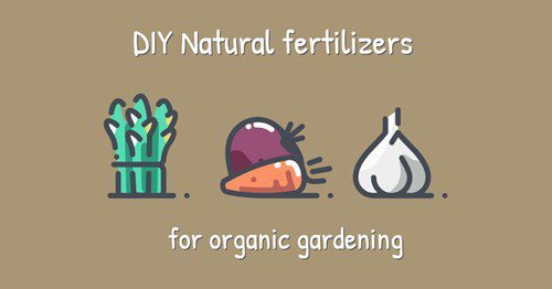 Illustration of DIY natural fertilizers for organic gardening.