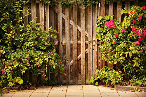 Rustic wooden gate framed by lush green plants and vibrant red flowers.