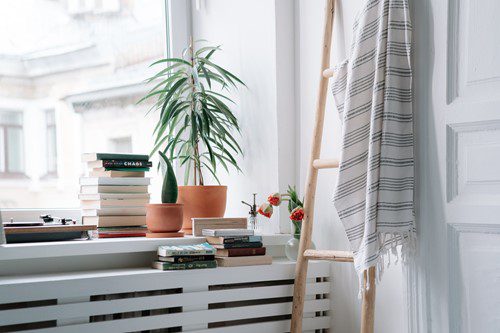 Cozy reading nook with plants and books by a bright window.